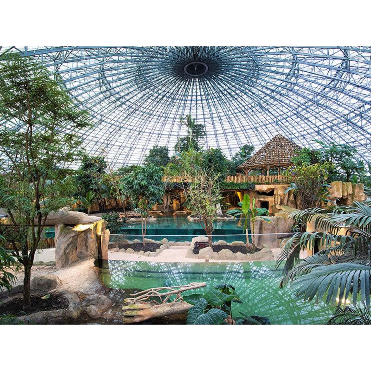 Smartbox Séjour au ZooParc de Beauval en 2025 : 2 journées et 1 nuit à proximité pour 2 adultes - Coffret Cadeau Multi-thèmes