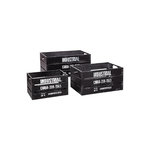 ATMOSPHERA Lot de 3 Cagettes de Rangement  Indus  50cm Noir