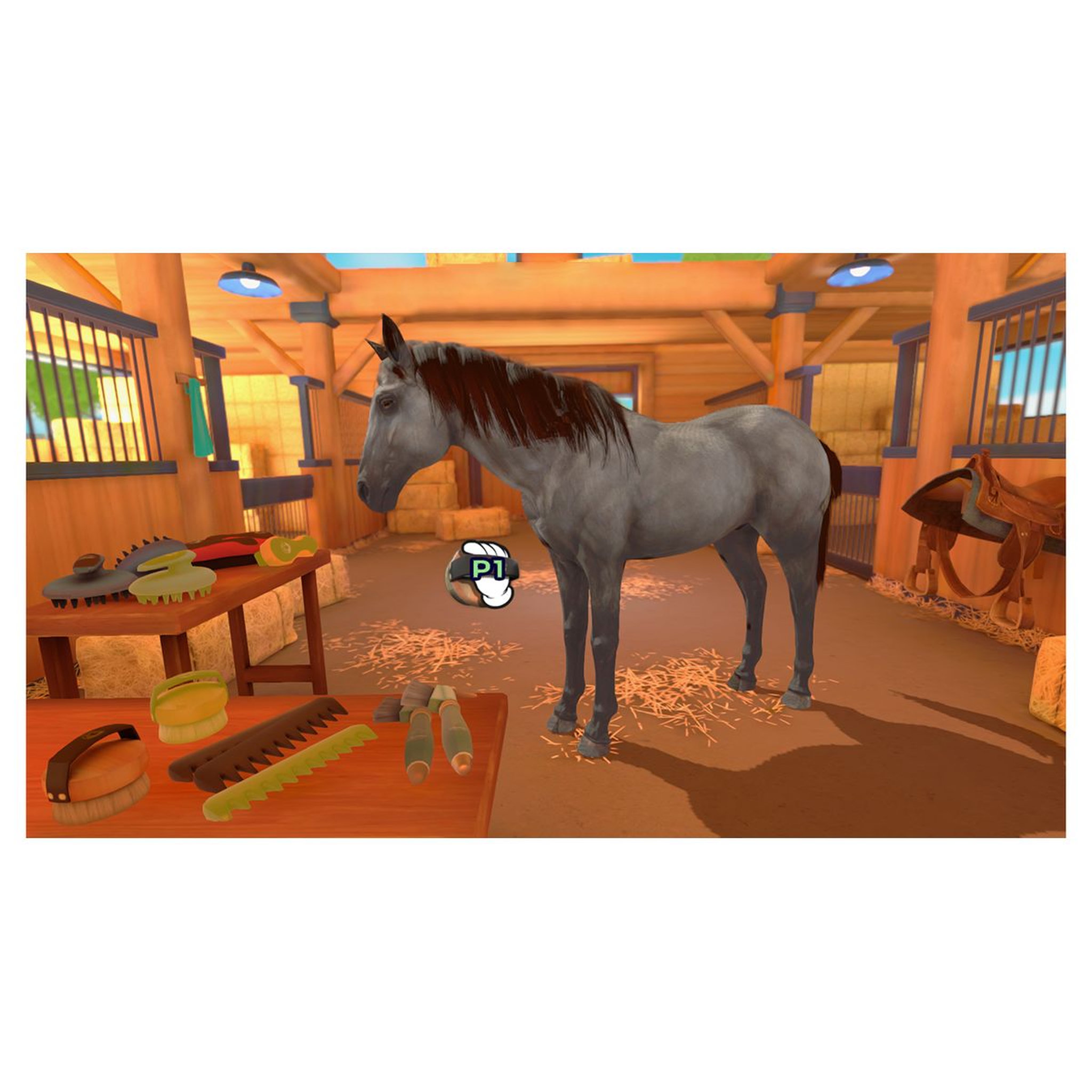 Voir la diapositive 5 : Galops 1 à 7 Nintendo Switch