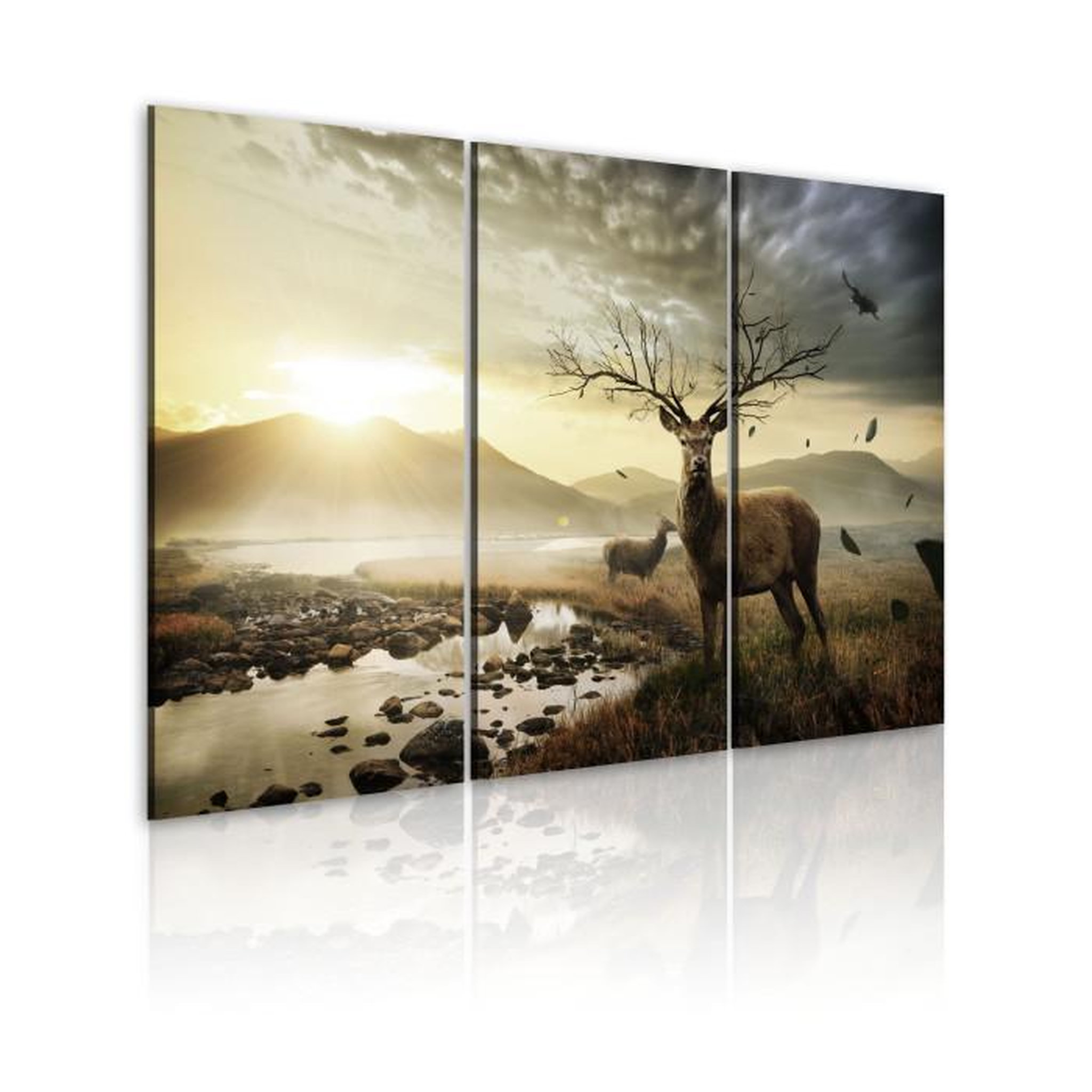 Paris Prix Tableau Imprimé  Cerfs avec un Bois. Coloris disponibles : Multicolore