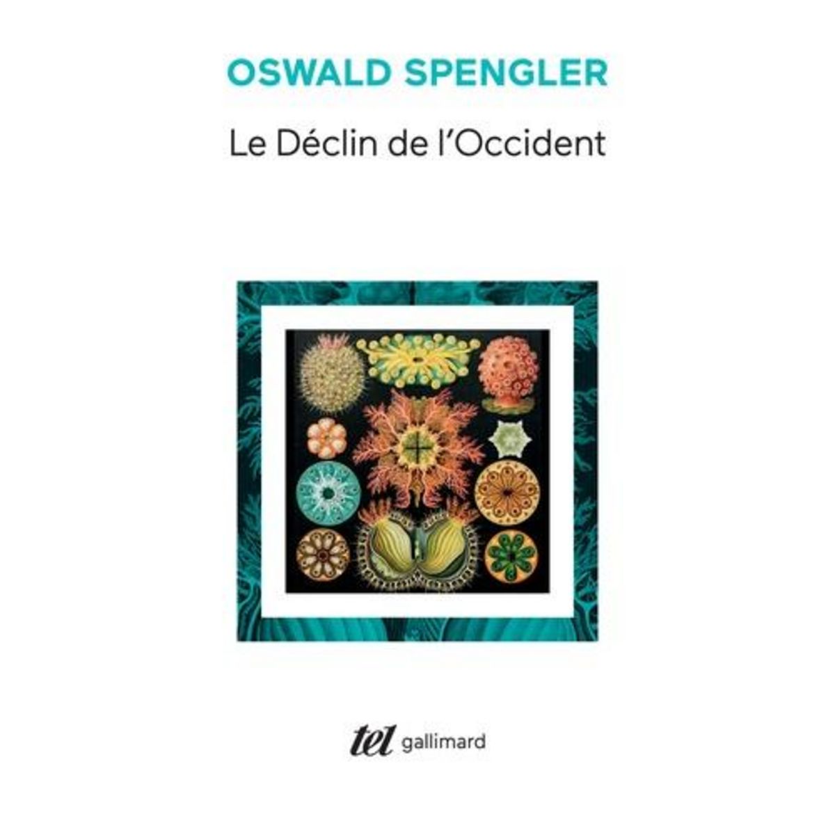 LE DECLIN DE L'OCCIDENT. COFFRET EN 2 VOLUMES : ESQUISSE D'UNE MORPHOLOGIE DE L'HISTOIRE UNIVERSELLE, TOMES 1 ET 2, Spengler Oswald