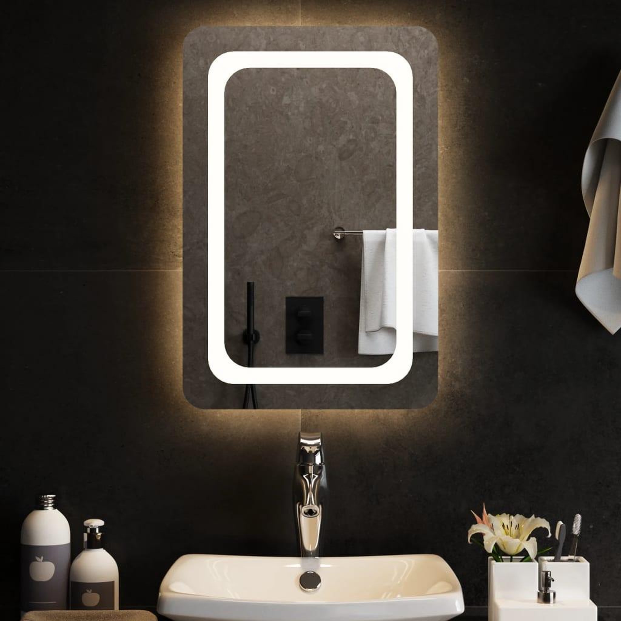 Voir la diapositive 1 : VIDAXL Miroir de salle de bain a LED 40x60 cm