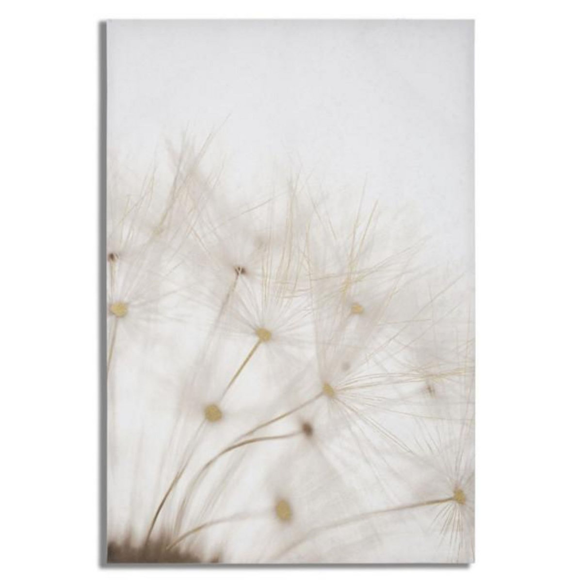 Paris Prix Toile Imprimée Déco  Tin  80x120cm Multicolore