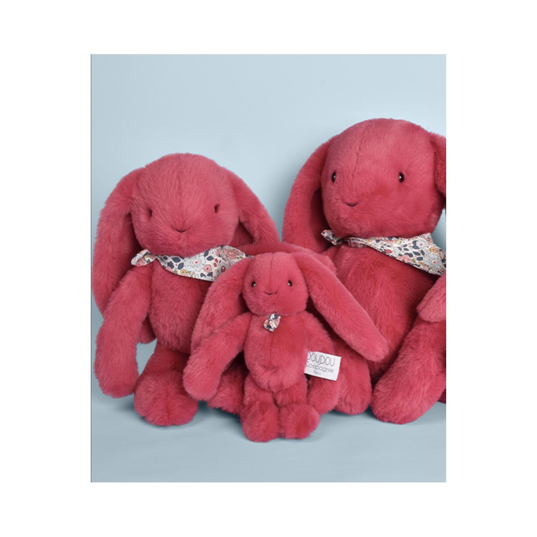 Voir la diapositive 2 : DOUDOU ET COMPAGNIE Peluche lapin fleurette fuchsia - 25 cm -