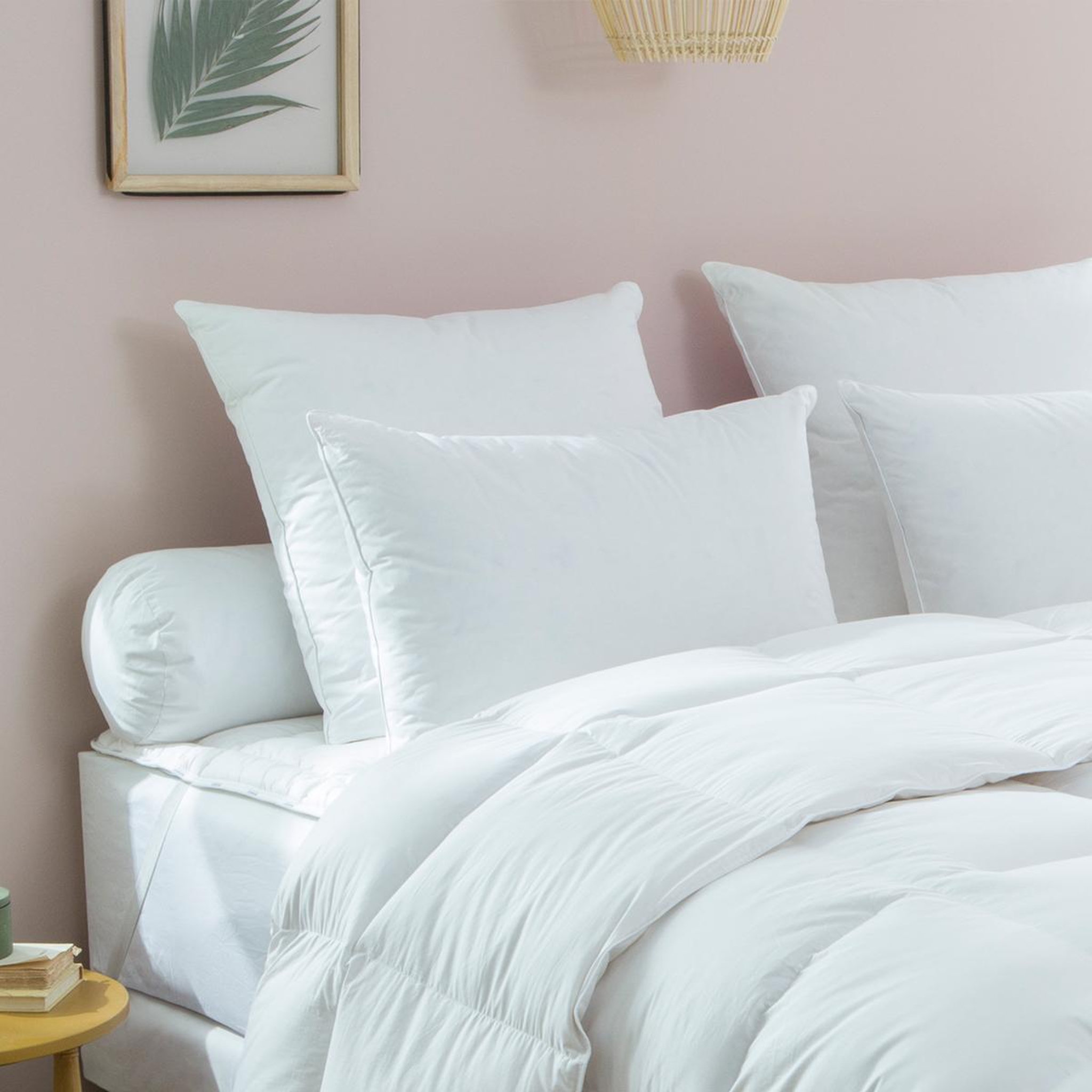Voir la diapositive 1 : DODO Oreiller naturel 70% duvet de Canard