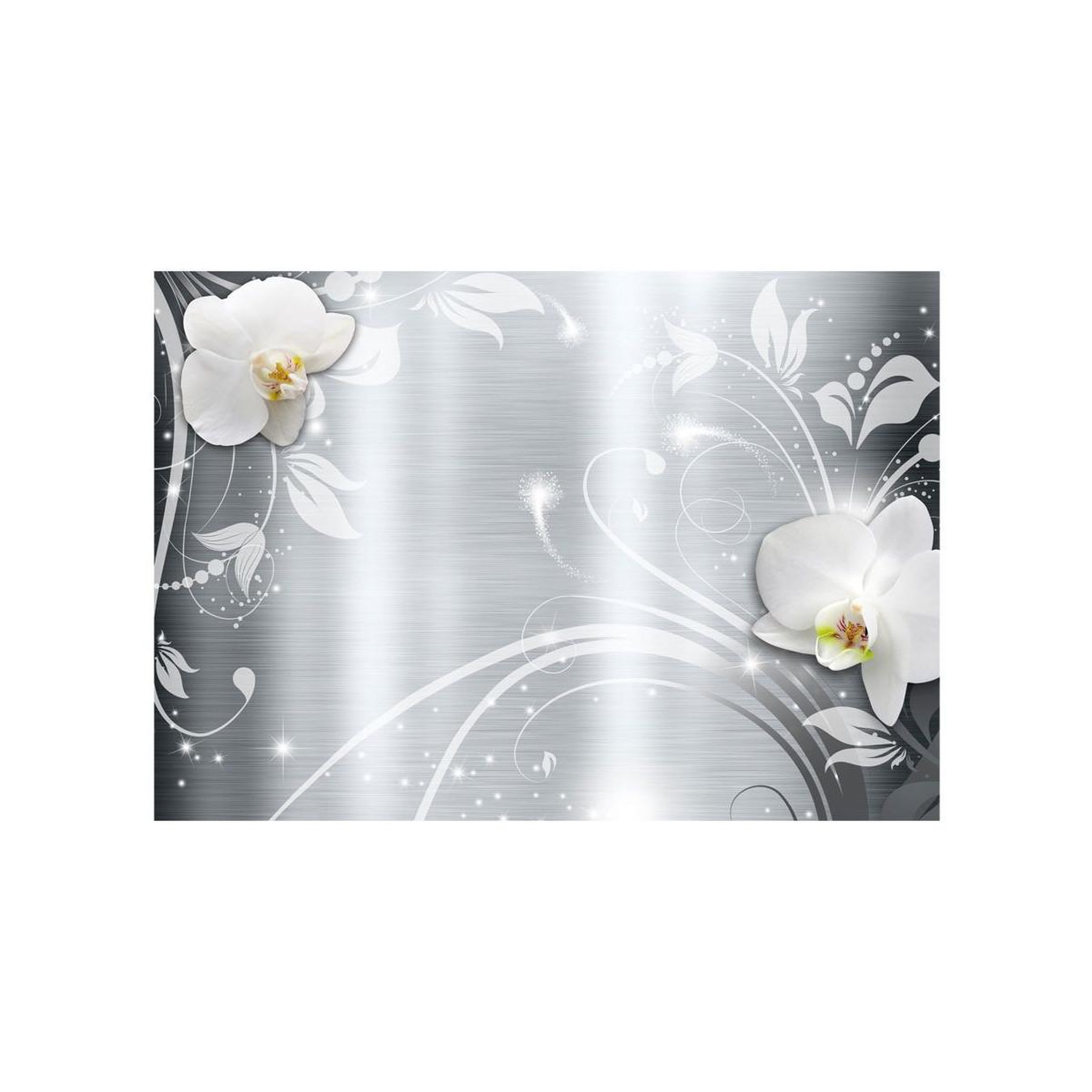 Voir la diapositive 2 : Paris Prix Papier peint  orchids on steel