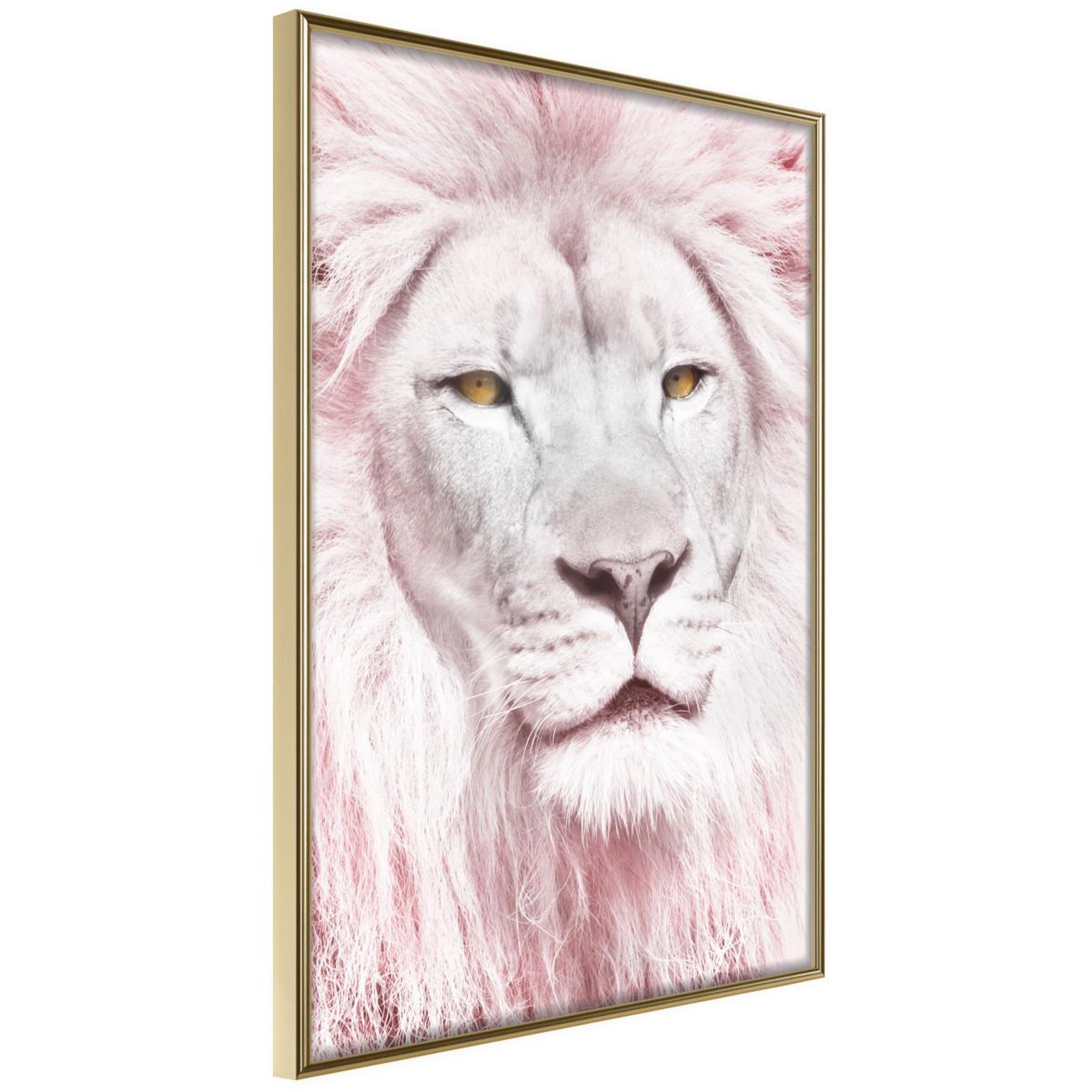 Paris Prix Affiche murale encadrée  dreamy lion