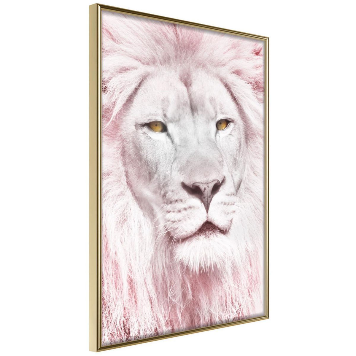 Paris Prix Affiche Murale Encadrée  Dreamy Lion