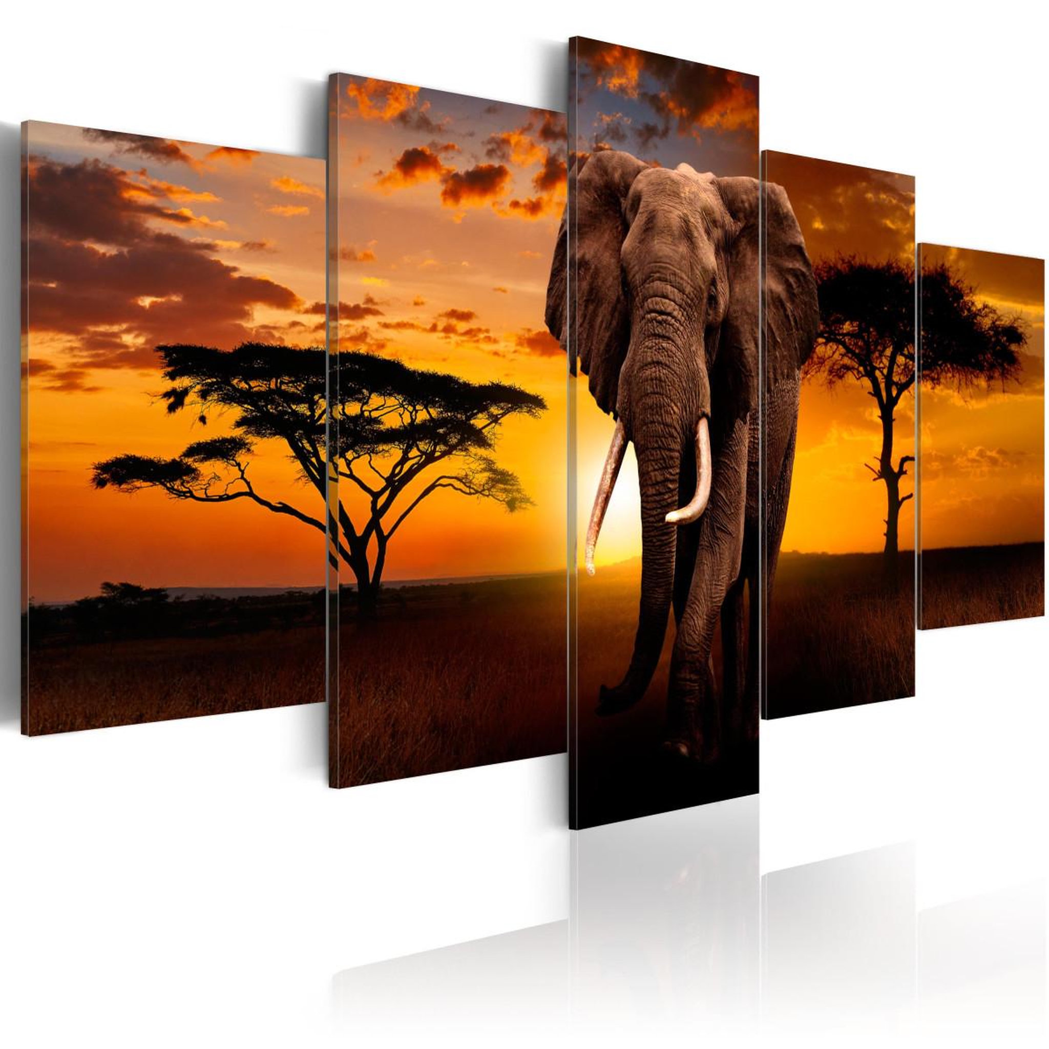 Paris Prix Tableau imprimé  the savannah king. Coloris disponibles : Multicolore