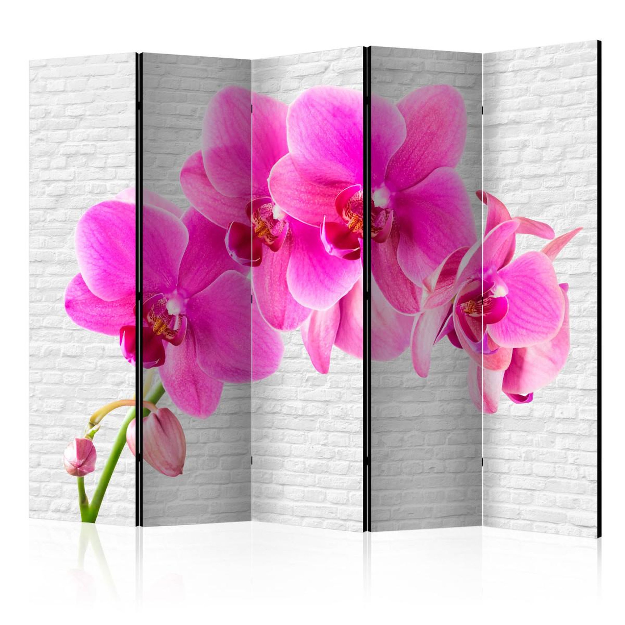 Paris Prix Paravent 5 volets  pink excitation  172x225cm