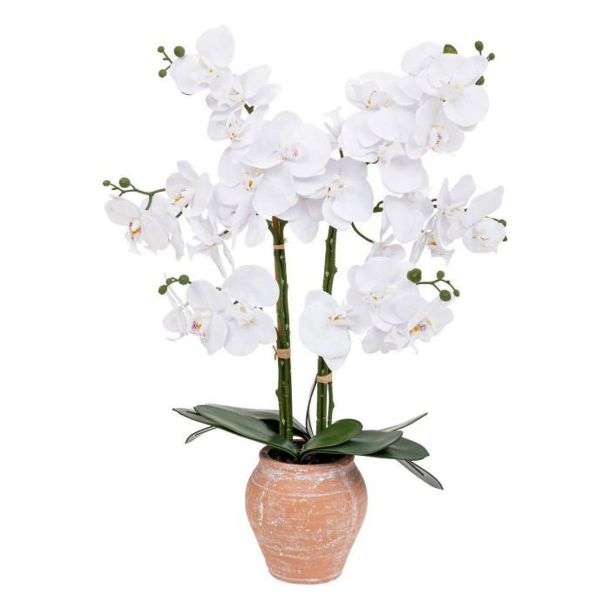 ATMOSPHERA Orchidée Artificielle en Pot  Dena  65cm Blanc