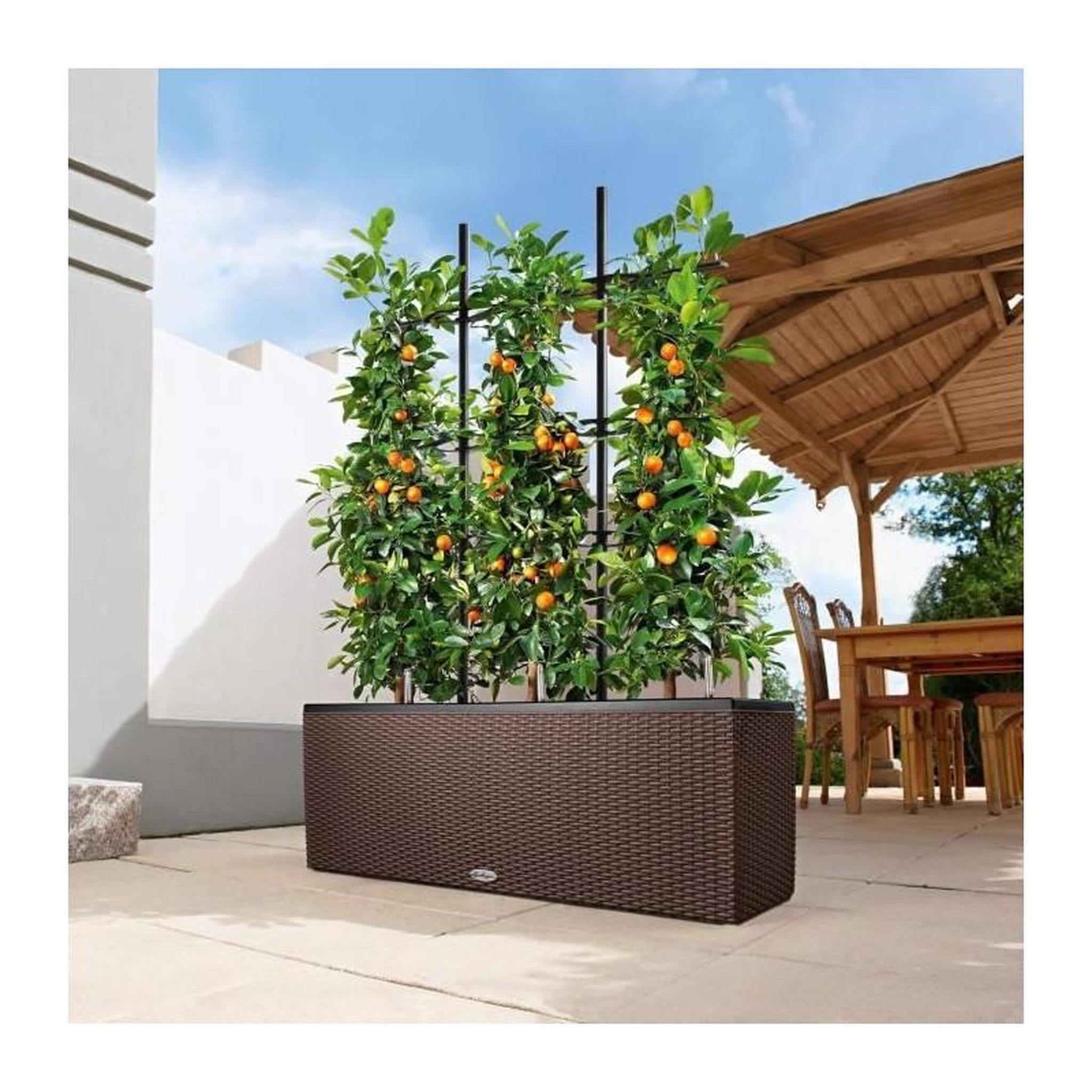 Voir la diapositive 4 : LECHUZA Pot Trio Cottage 30 - kit complet, granit - 100 cm