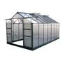Voir la diapositive 1 : Habitat et Jardin Serre jardin polycarbonate  Dahlia  Vert Sapin 13,29 m²