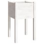 Voir la diapositive 2 : VIDAXL Jardiniere d'exterieur Blanc 40x40x70 cm Bois de pin massif