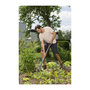 Voir la diapositive 4 : Gardena GARDENA Fourche a becher NatureLine- Manche bois 100% FSC - Poignee ergo en D - Dents acier trempe - Garantie 10 ans 17002-20