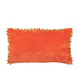 Voir la diapositive 2 : Paris Prix Coussin Velours Design Fleurs  Mexican  35x65cm Orange