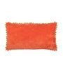 Voir la diapositive 2 : Paris Prix Coussin Velours Design Fleurs  Mexican  35x65cm Orange