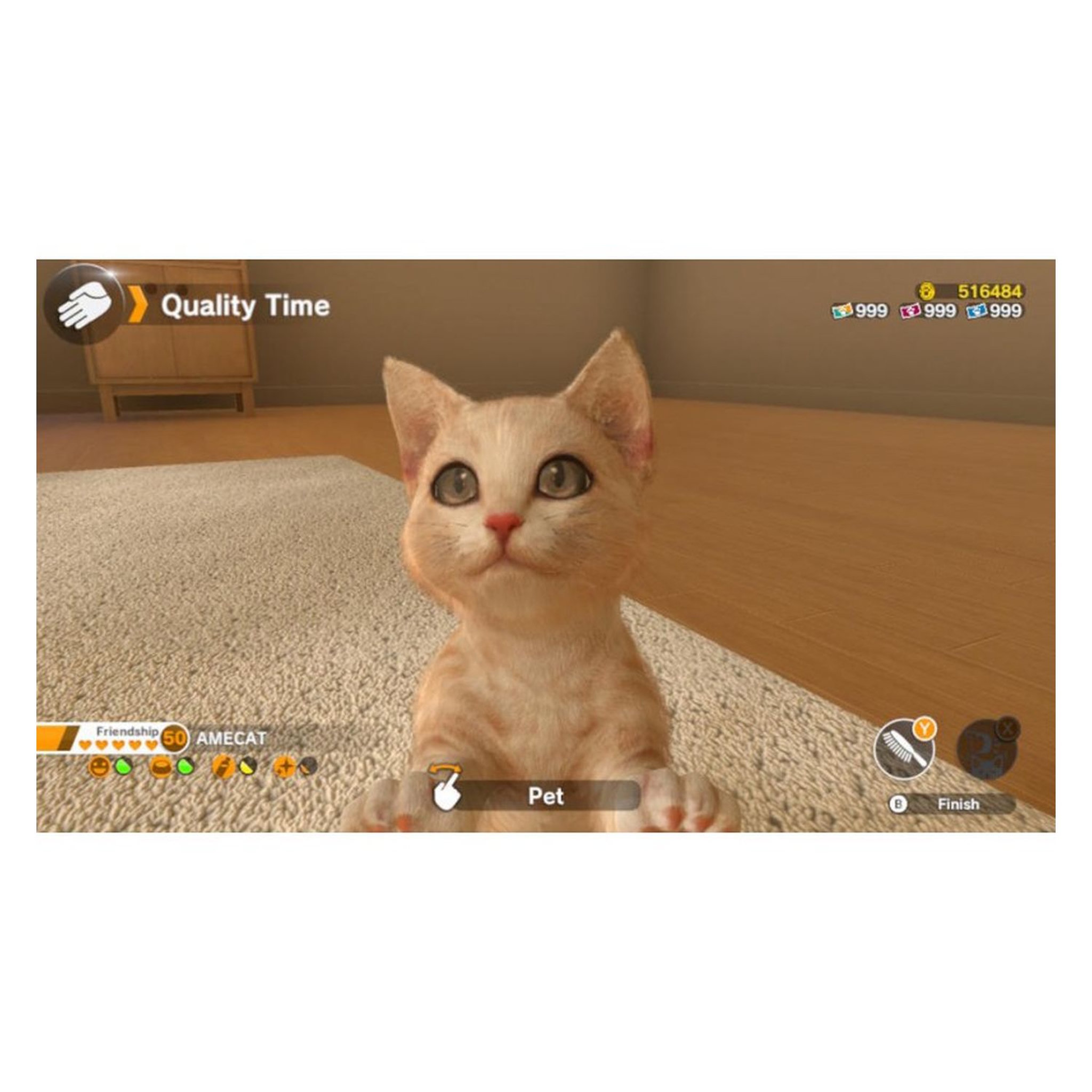 Voir la diapositive 4 : Little Friends : Dogs and Cats Nintendo Switch 