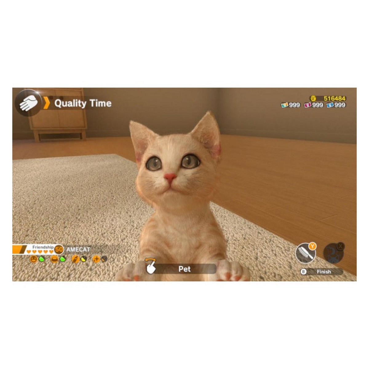 Little Friends : Dogs and Cats Nintendo Switch 