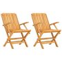 Voir la diapositive 2 : VIDAXL Chaises de jardin pliantes lot de 2 61x67x90cm bois massif teck