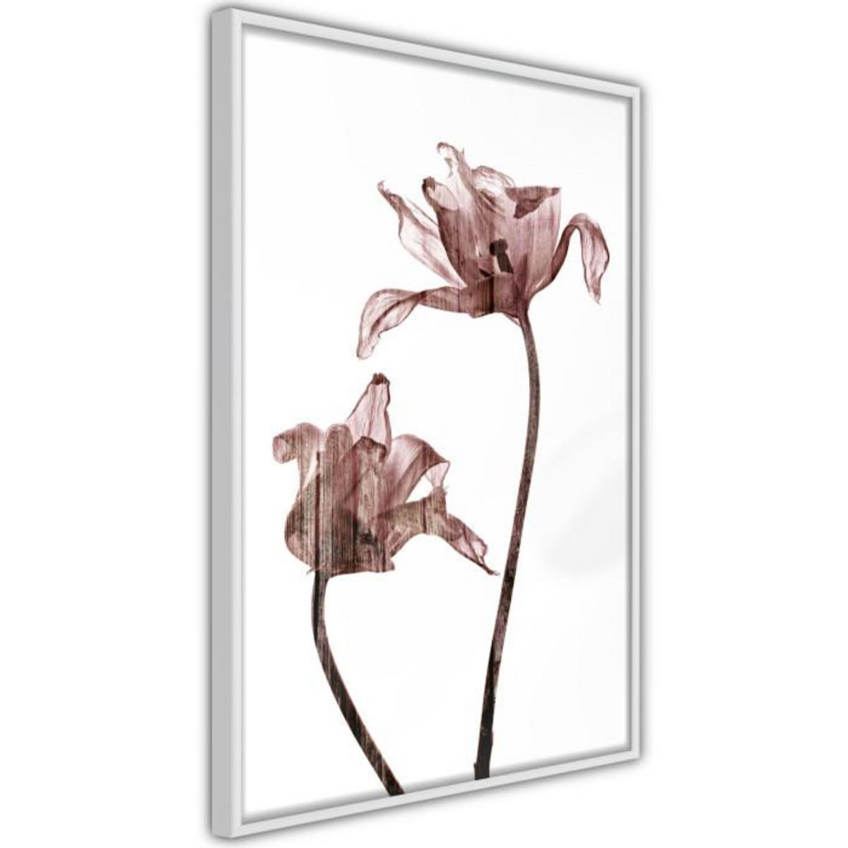 Paris Prix Affiche Murale Encadrée  Flashback of Last Summer