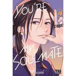 YOU'RE MY SOULMATE TOME 4 , Anashin