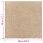 Voir la diapositive 6 : VIDAXL Tapis ZIZUR 240x240 cm aspect de jute interieur et exterieur