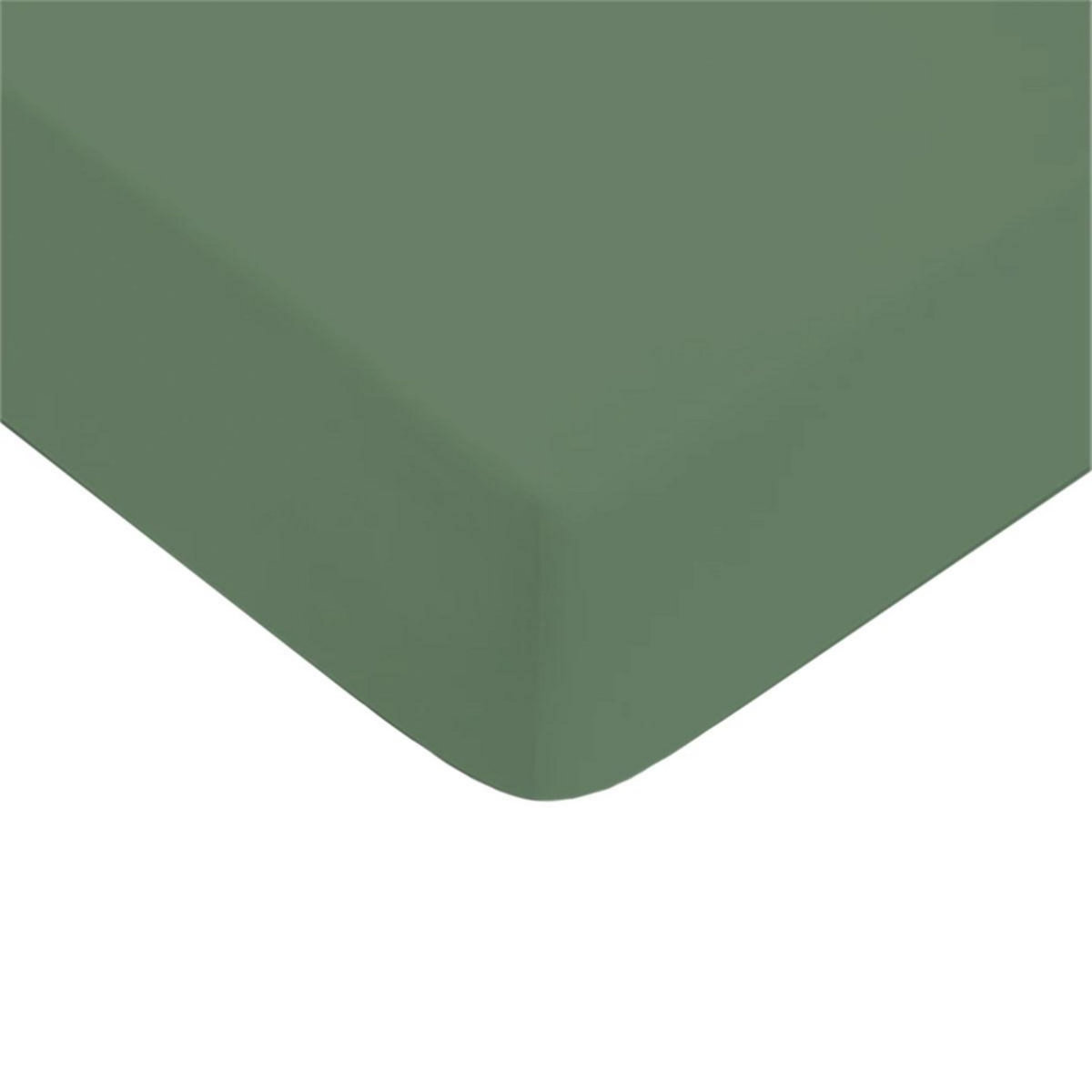 FUTURE HOME Drap housse uni en coton 57 fils