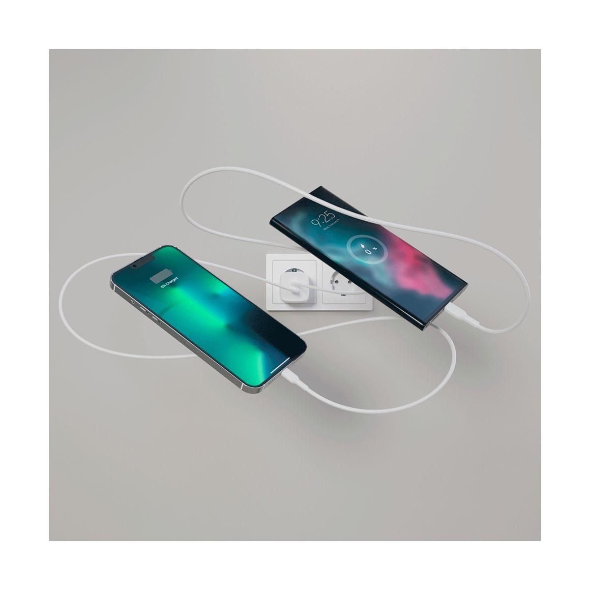 Belkin Chargeur secteur USB C x2 65W GaN PPS + Cable USB-C 2m