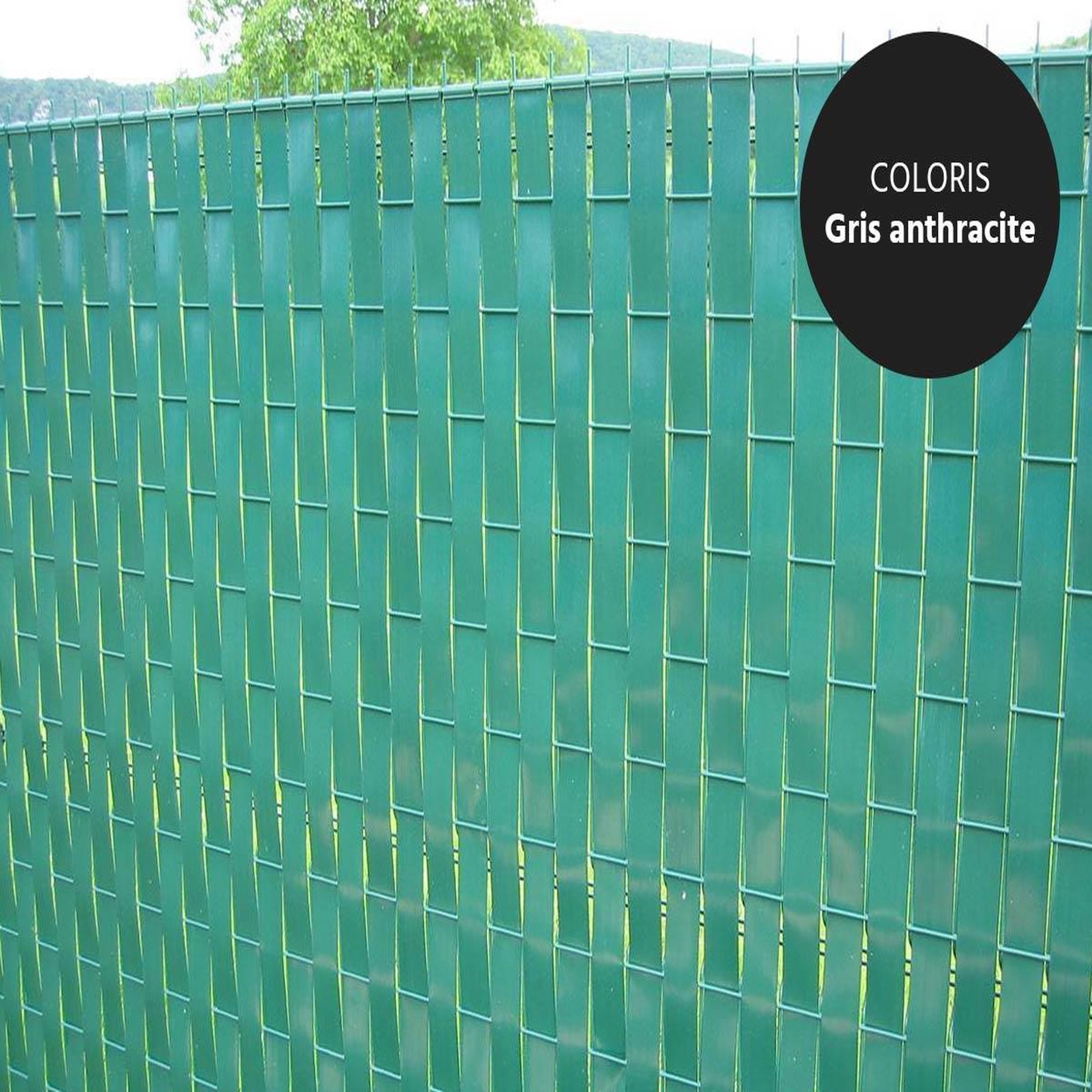 Jardiline Lanière PVC pour palissade largeur 47 mm x 60 m+100 clips- Vert Foncé - Jardiline