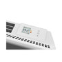 Voir la diapositive 2 : Thermor Radiateur rayonnant vertical digital AMADEUS 3 blanc 2000W THERMOR 443226