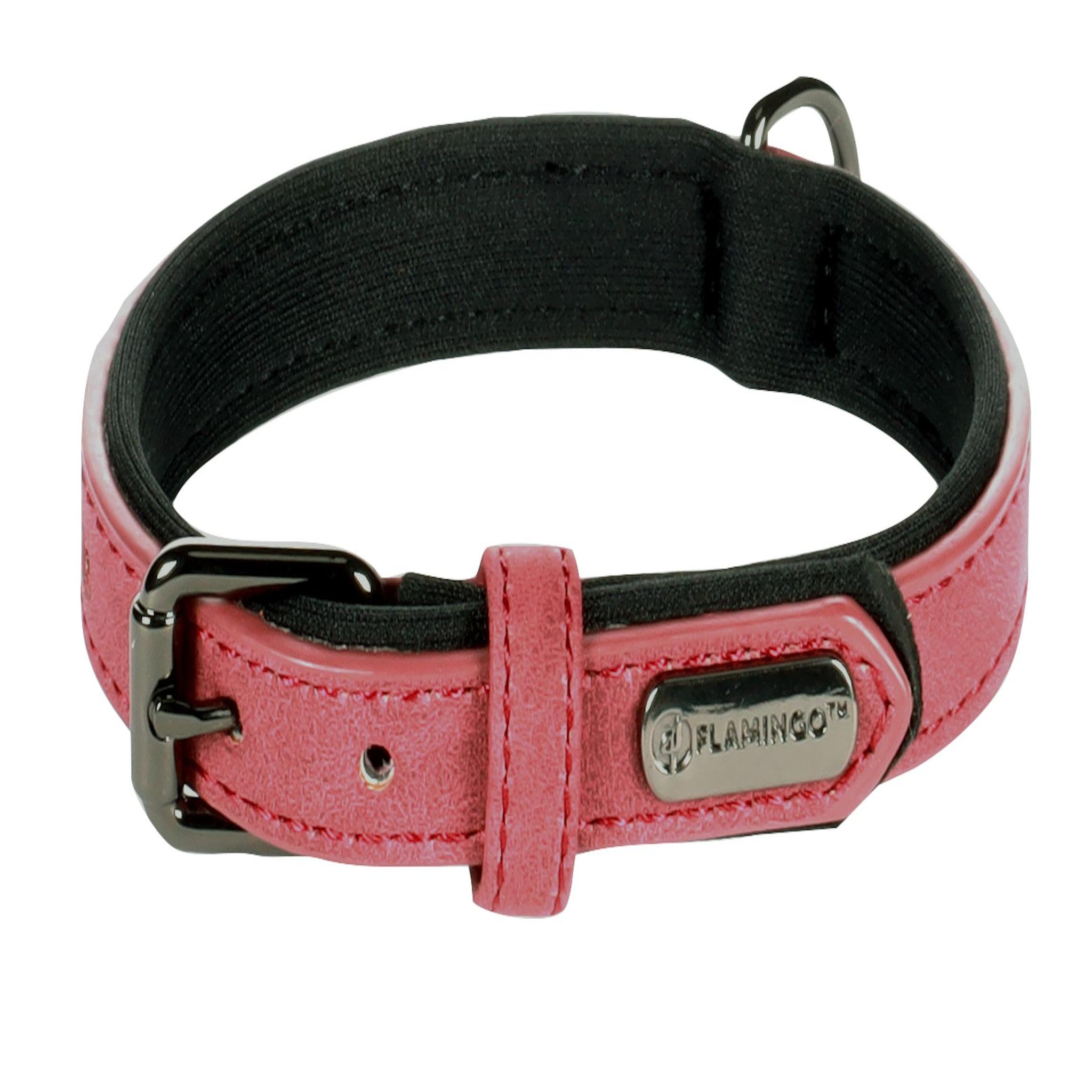 Voir la diapositive 4 : Eden Collier pour chien avec doublure néoprène