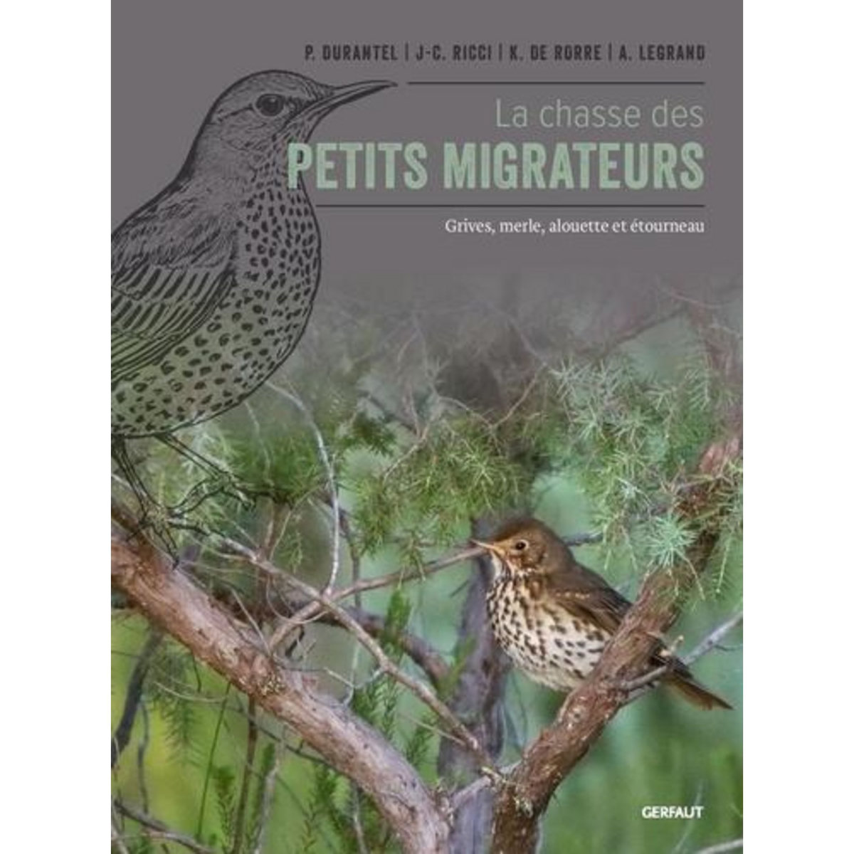 LA CHASSE DES PETITS MIGRATEURS. GRIVES, MERLE NOIR, ALOUETTE DES CHAMPS ET ETOURNEAU SANSONNET, Durantel Pascal