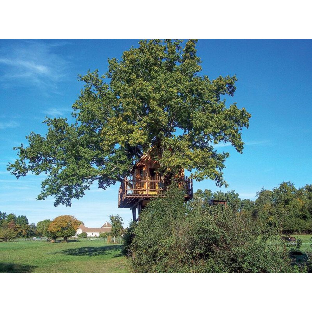 Smartbox 2 jours insolites dans les arbres - Coffret Cadeau Séjour