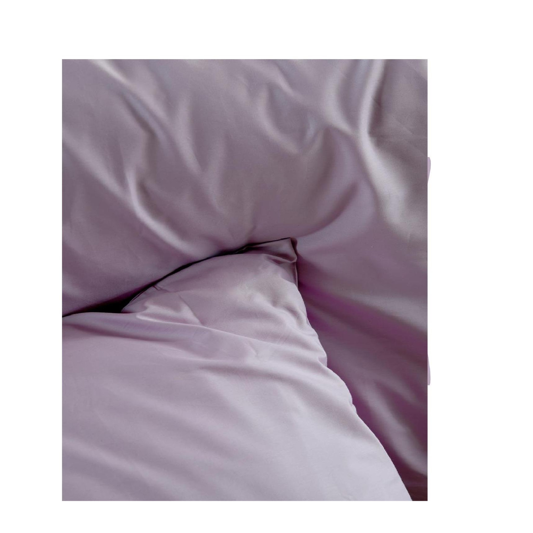 Voir la diapositive 2 : Eden 1 taie d'oreiller percale de coton uni elysee