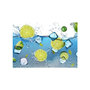 Voir la diapositive 2 : Paris Prix Papier Peint  Refreshing Lemonade