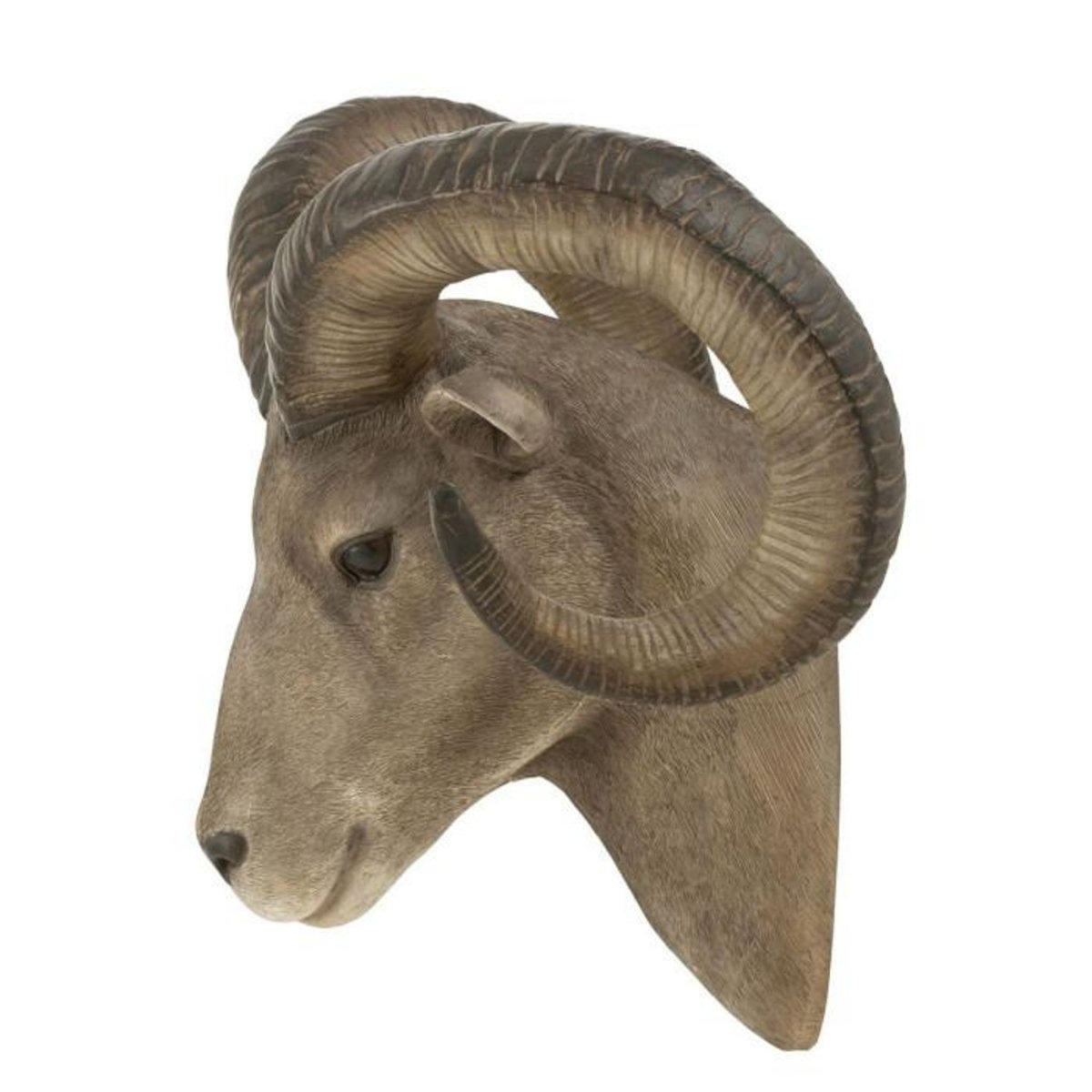 Paris Prix Trophée Mural  Tête de Chèvre  48cm Gris & Marron