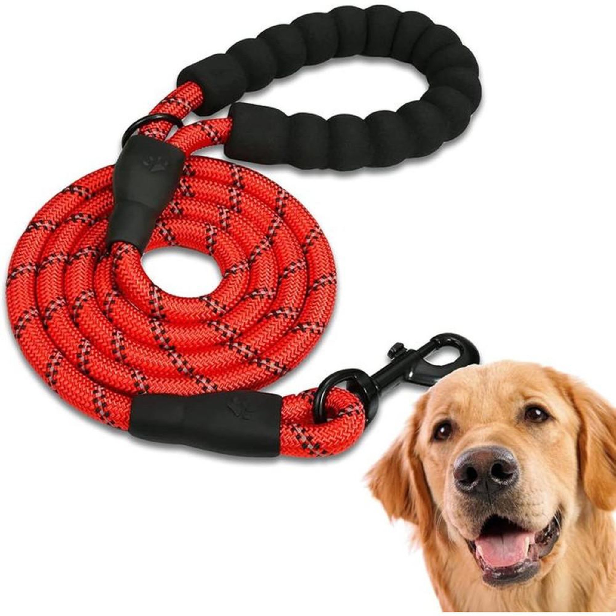 Laisse pour chien rouge 1,5 m en nylon avec poignée EVA réfléchissante et mousqueton pivotant 360°