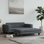 Voir la diapositive 1 : VIDAXL Lit pour chien avec extension gris fonce 100x50x30 cm velours