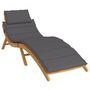 Voir la diapositive 3 : VIDAXL Coussin de chaise longue anthracite 186x58x3 cm tissu oxford