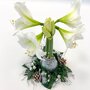 Voir la diapositive 3 : PLANT IN A BOX Amaryllis - Hippeastrum 'Couronne de Noël' - Argent