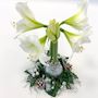 Voir la diapositive 3 : PLANT IN A BOX Amaryllis - Hippeastrum 'Couronne de Noël' - Argent