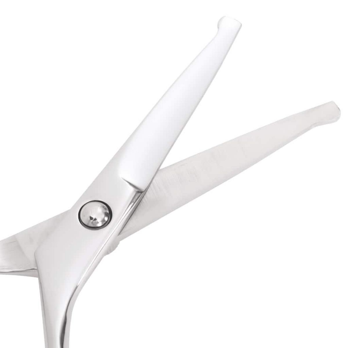 VIDAXL Ensemble de ciseaux de toilettage pour chien 6 pcs