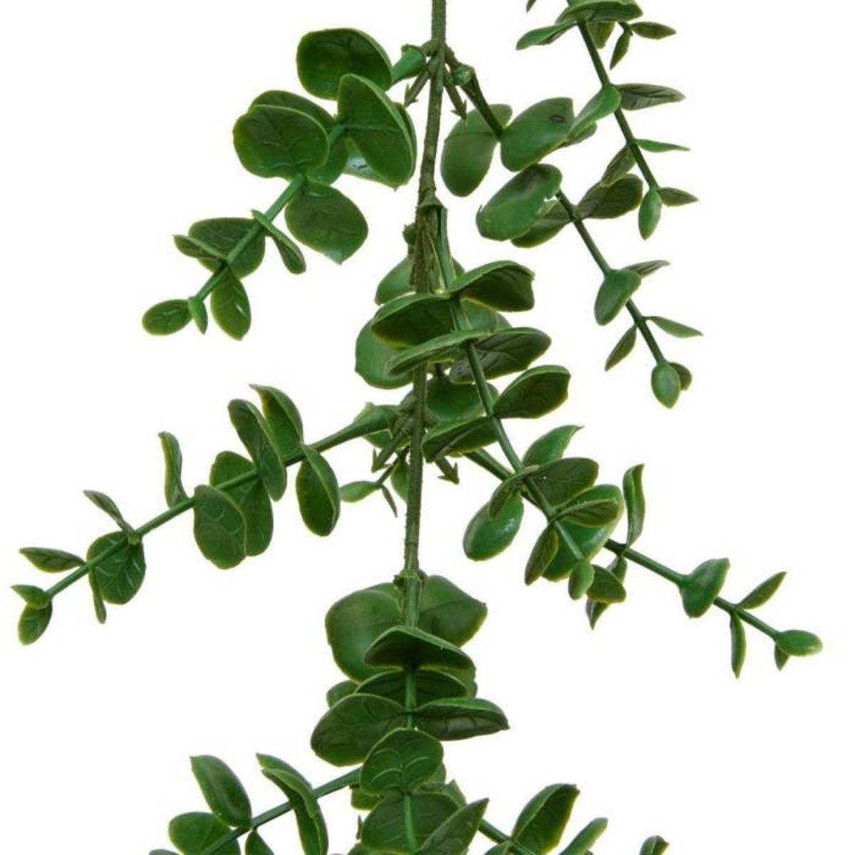 ATMOSPHERA Guirlande d'Eucalyptus Artificiel  Walker  170cm Vert
