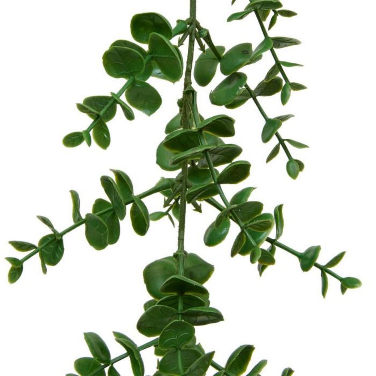 ATMOSPHERA Guirlande d'Eucalyptus Artificiel  Walker  170cm Vert