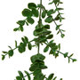 Voir la diapositive 2 : ATMOSPHERA Guirlande d'Eucalyptus Artificiel  Walker  170cm Vert