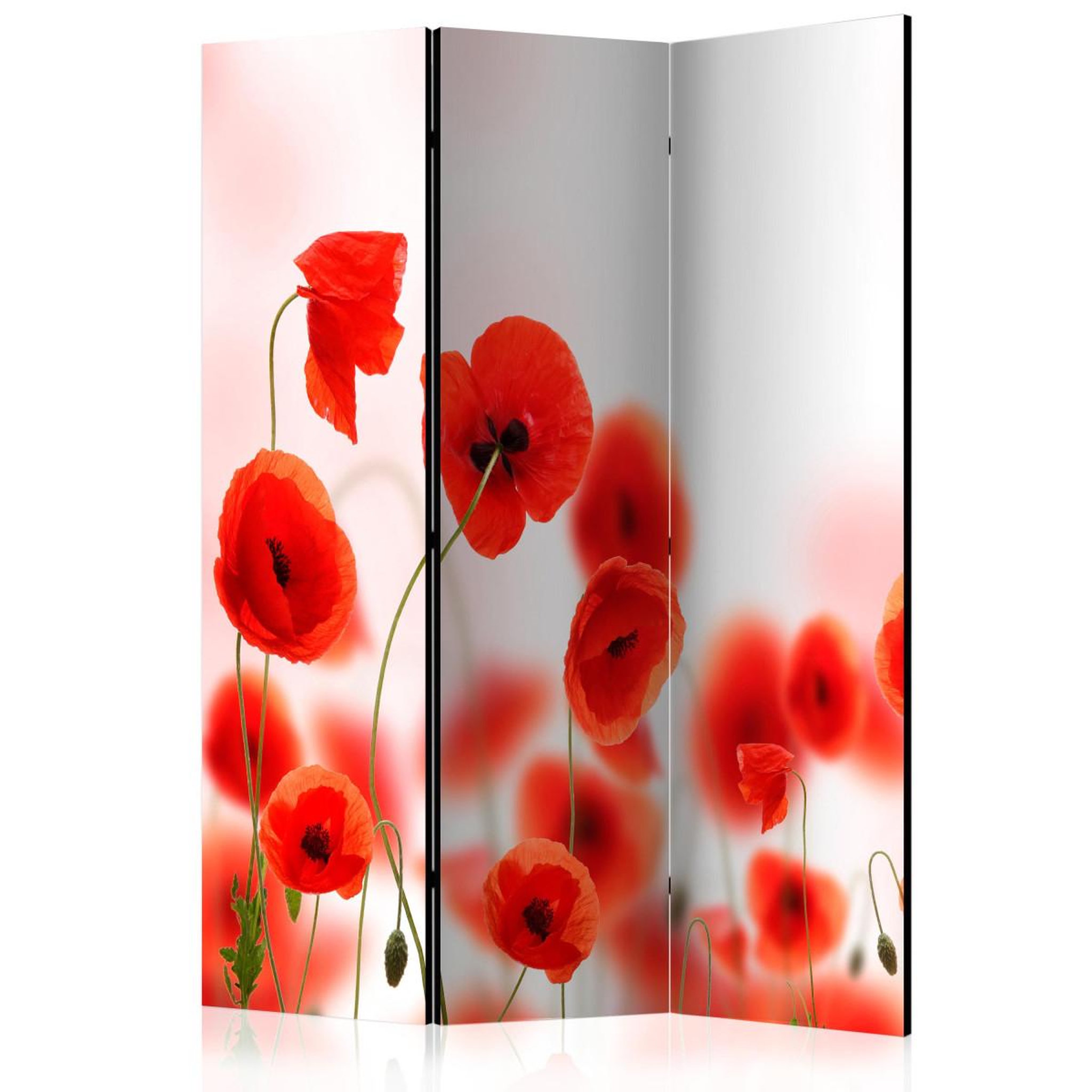 Paris Prix Paravent 3 volets  sleepy poppy's land  135x172cm