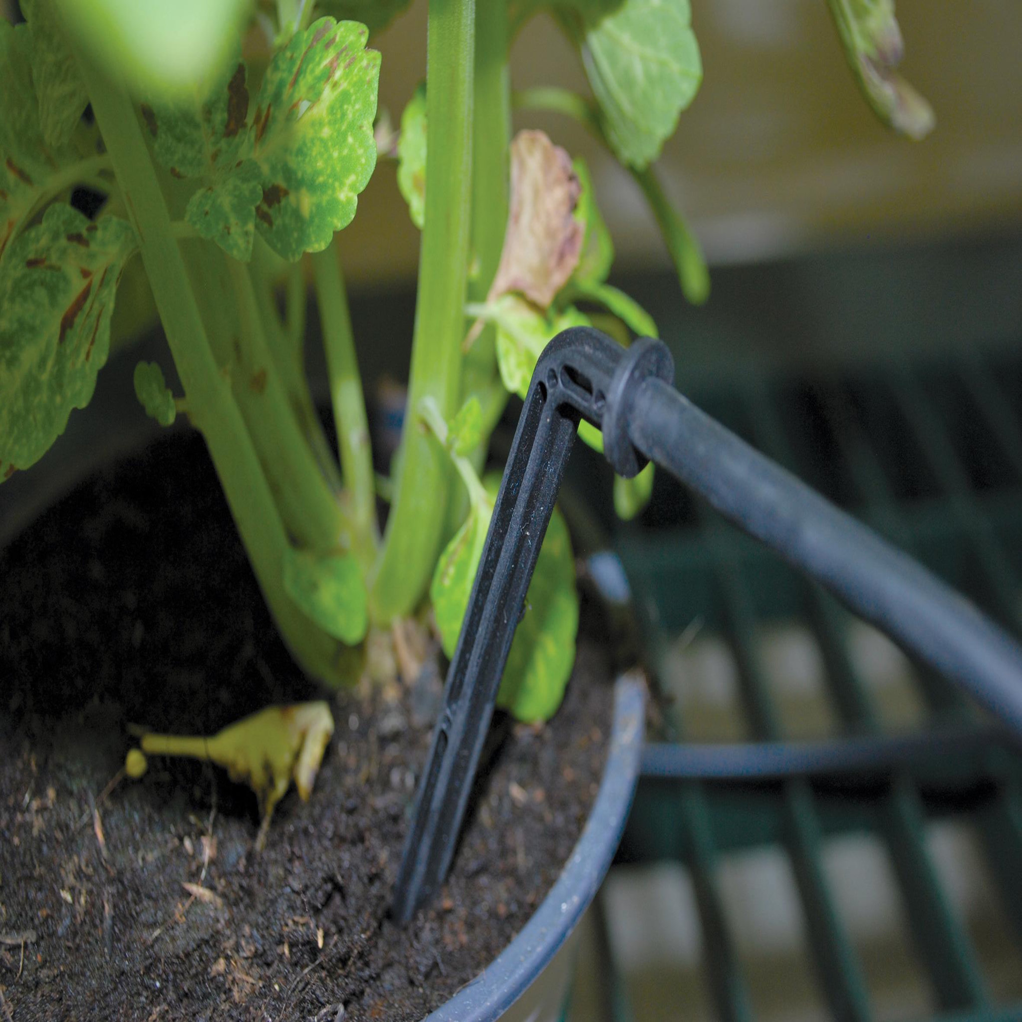 Voir la diapositive 5 : CANOPIA Kit d'irrigation goutte à goutte Canopia