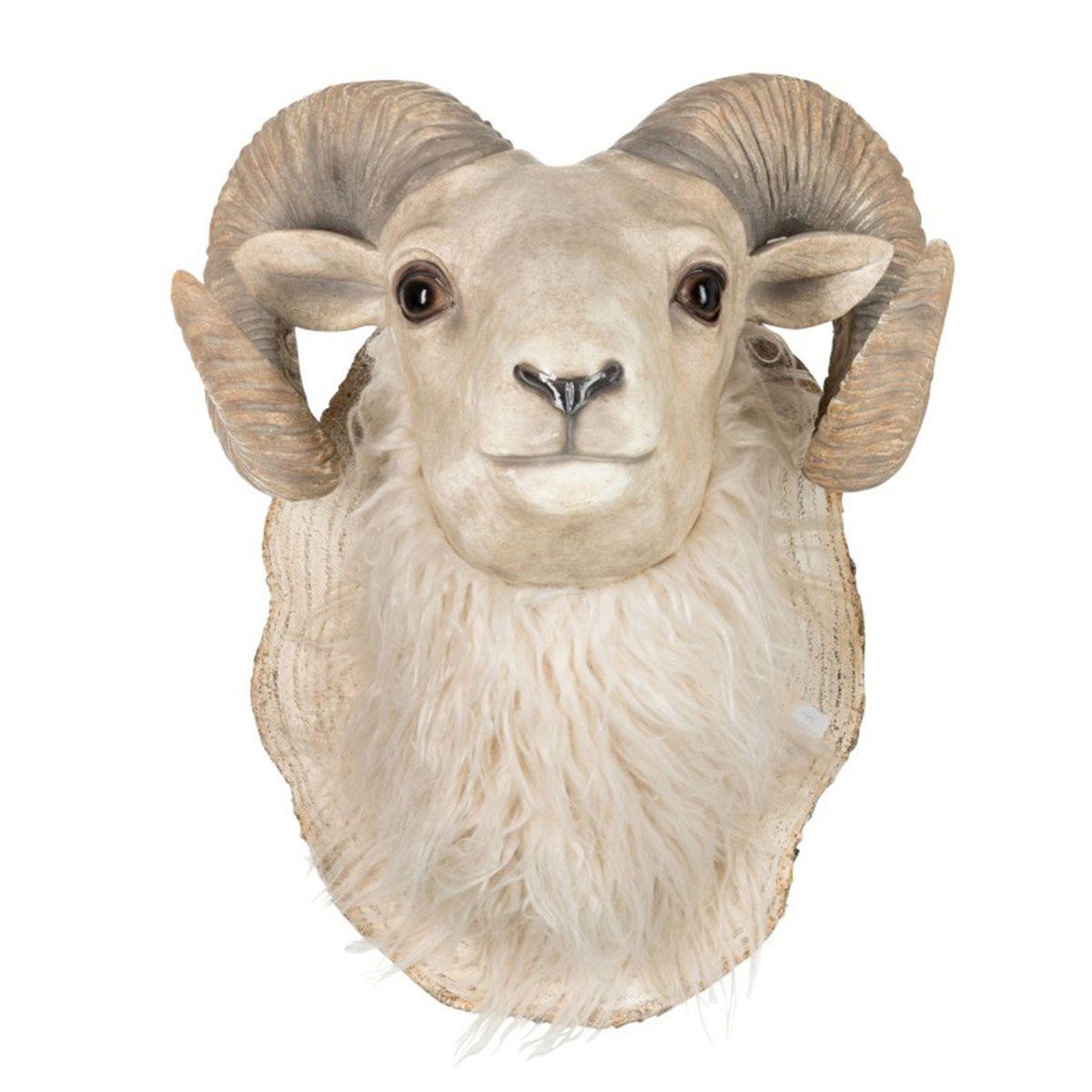 J-LINE Trophée Mural Design  Tête de Chèvre  47cm Beige