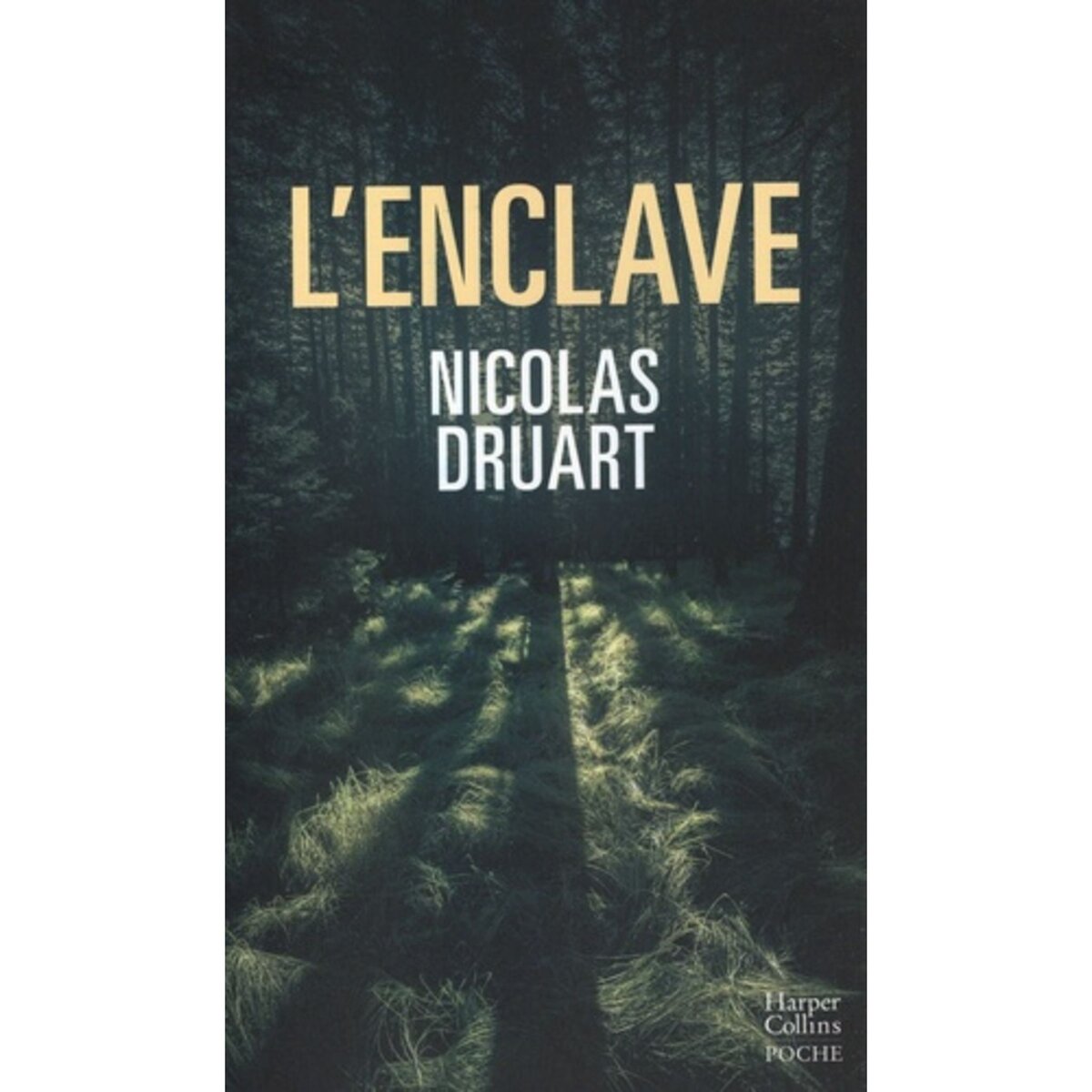  L'ENCLAVE, Druart Nicolas
